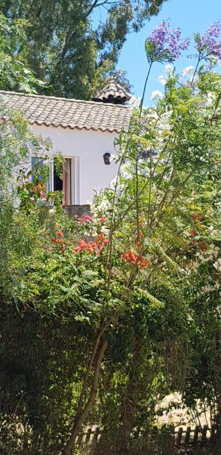 Villa Casa El Soto Vejer de la Frontera Exterior foto